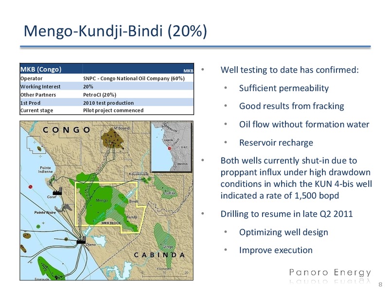 Q4 2010 EARNINGS CALL – Panoro Energy Asa – slide 8