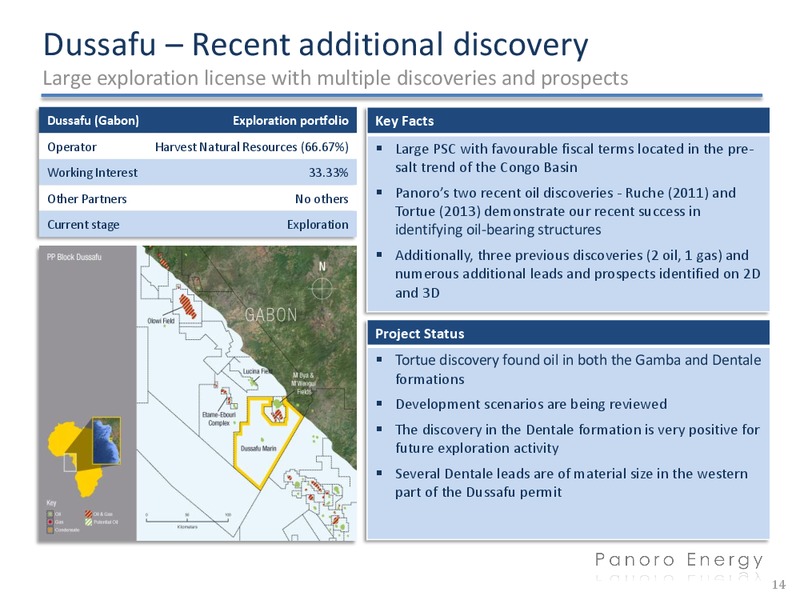 Q4 2012 FINANCIALS – Panoro Energy Asa – slide 14