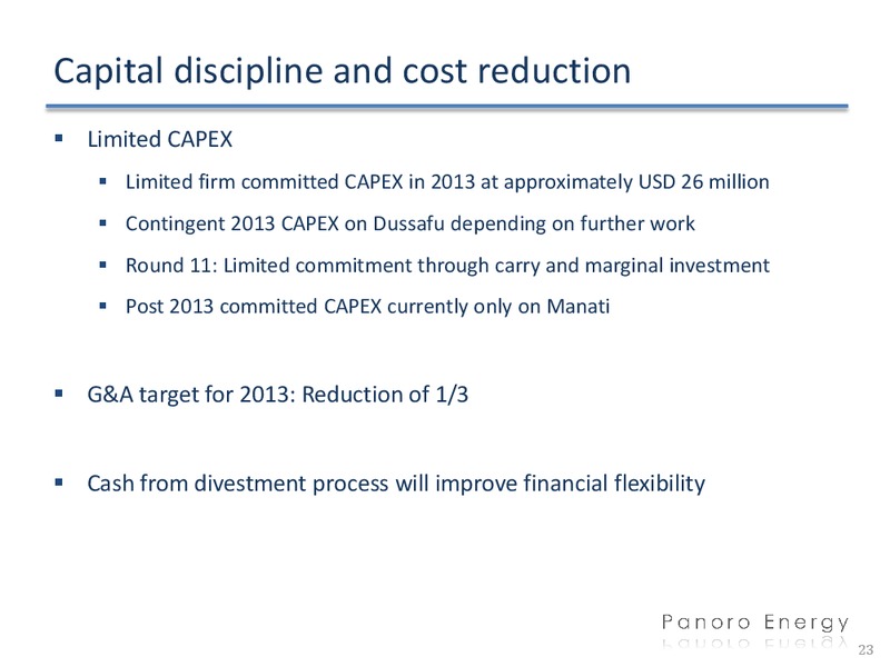 Q4 2012 FINANCIALS – Panoro Energy Asa – slide 23