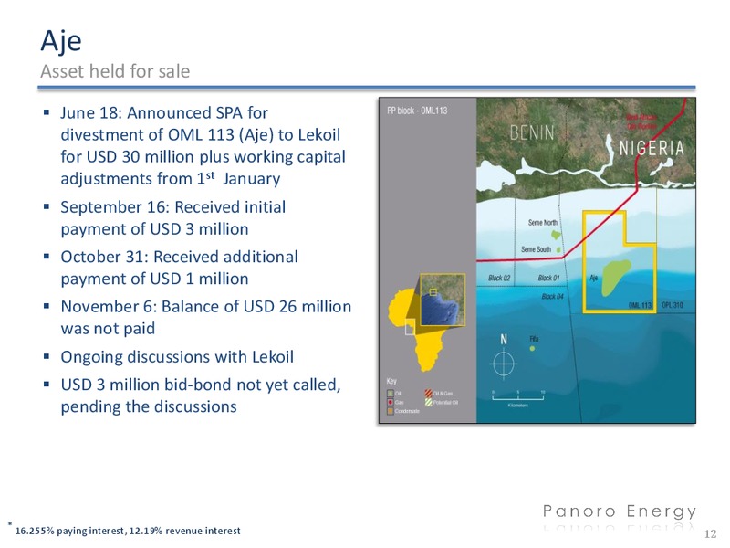 Q3 2013 FINANCIALS – Panoro Energy Asa – slide 12