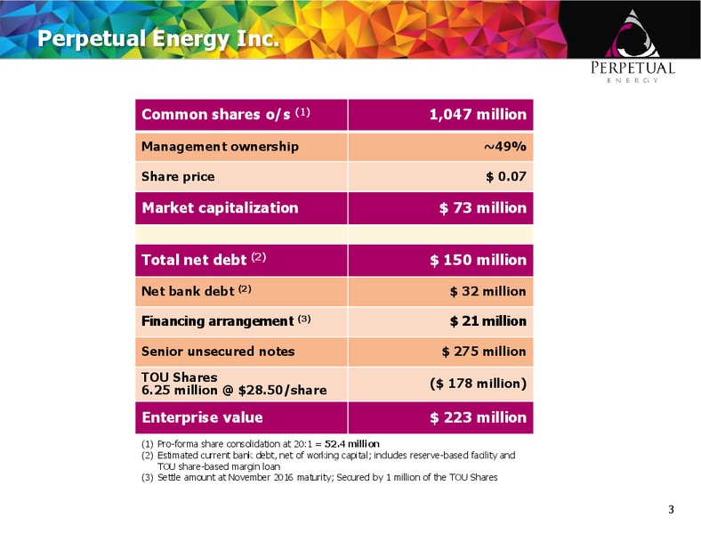 AGM Presentation – Perpetual Energy Inc – slide 2