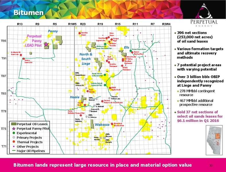 AGM Presentation – Perpetual Energy Inc – slide 29