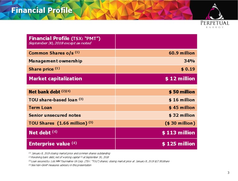 January 2019 Corporate Presentation – Perpetual Energy Inc – slide 2
