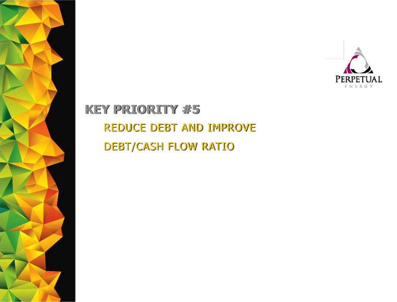 July 2015 Investor Presentation – Perpetual Energy Inc – slide 28
