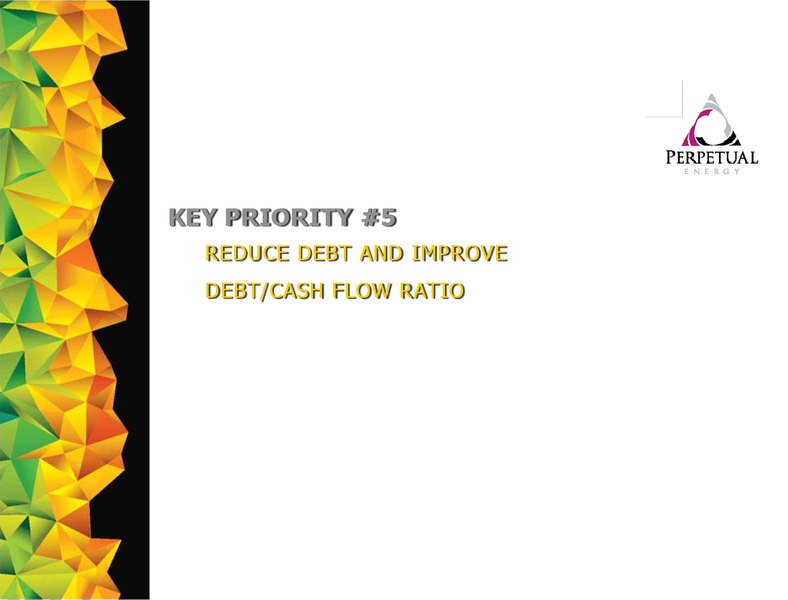 Investor Presentation September 2015 – Perpetual Energy Inc – slide 28