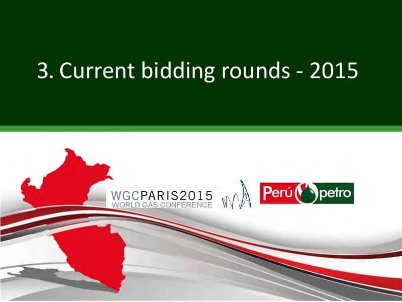 WORLD GAS CONFERENCE – Perupetrol – slide 13