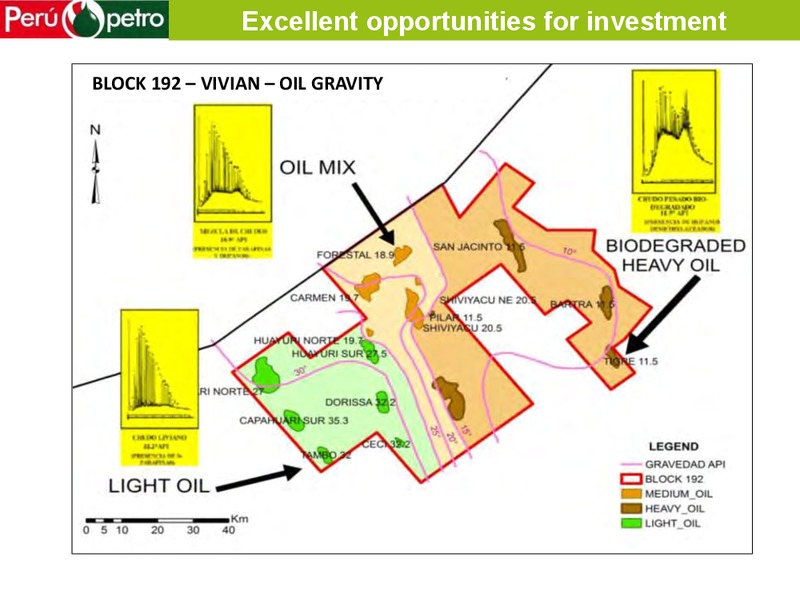 WORLD GAS CONFERENCE – Perupetrol – slide 19