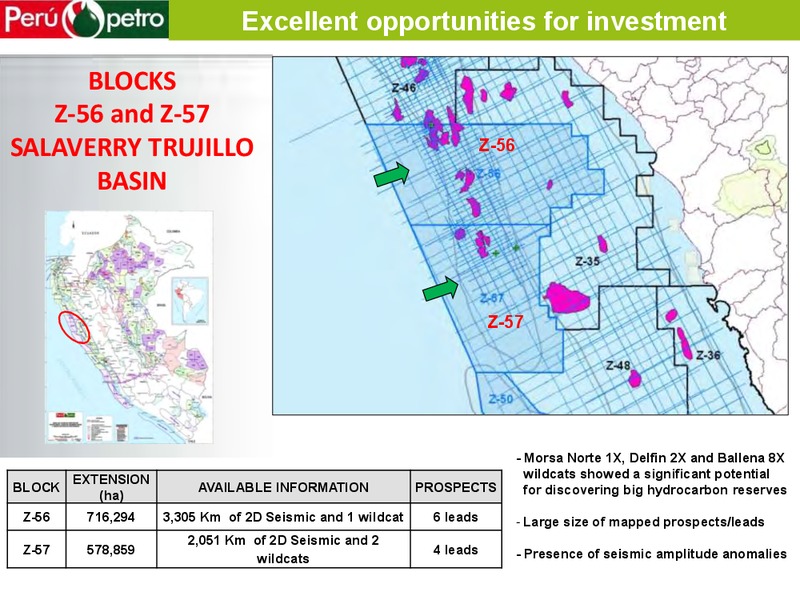 WORLD GAS CONFERENCE – Perupetrol – slide 25