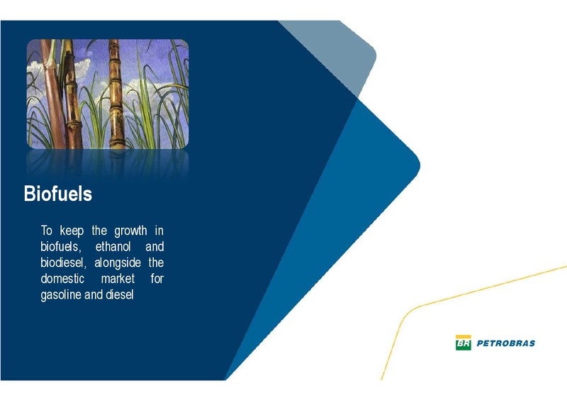 Q4 2013 EARNINGS CALL – Petrobras – slide 38