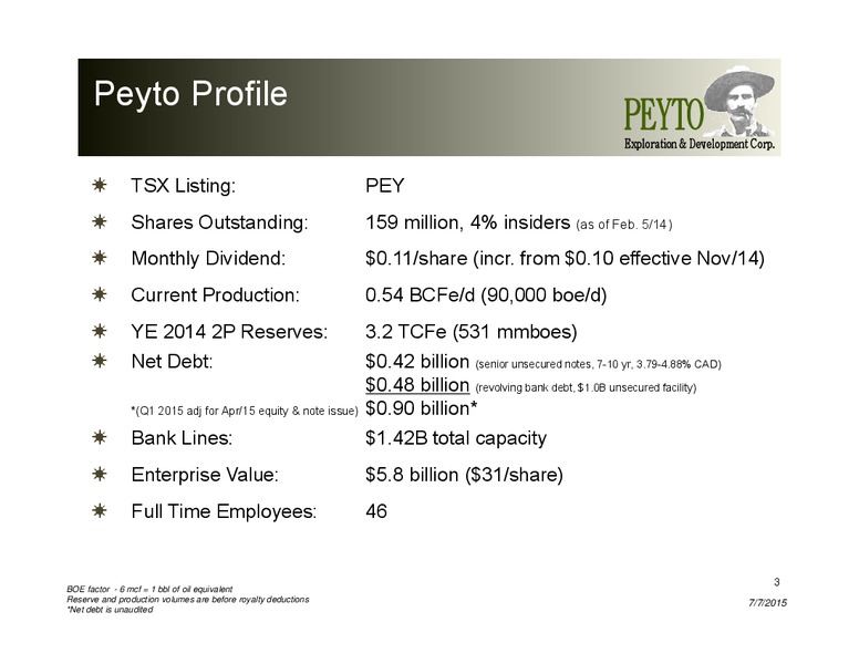 TD STAMPEDE ENERGY CONFERENCE – Peyto Exploration & Development Corp – slide 2