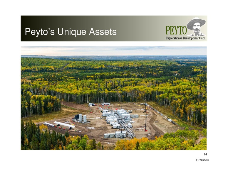 November 2016 Investor Presentation – Peyto Exploration & Development Corp – slide 13