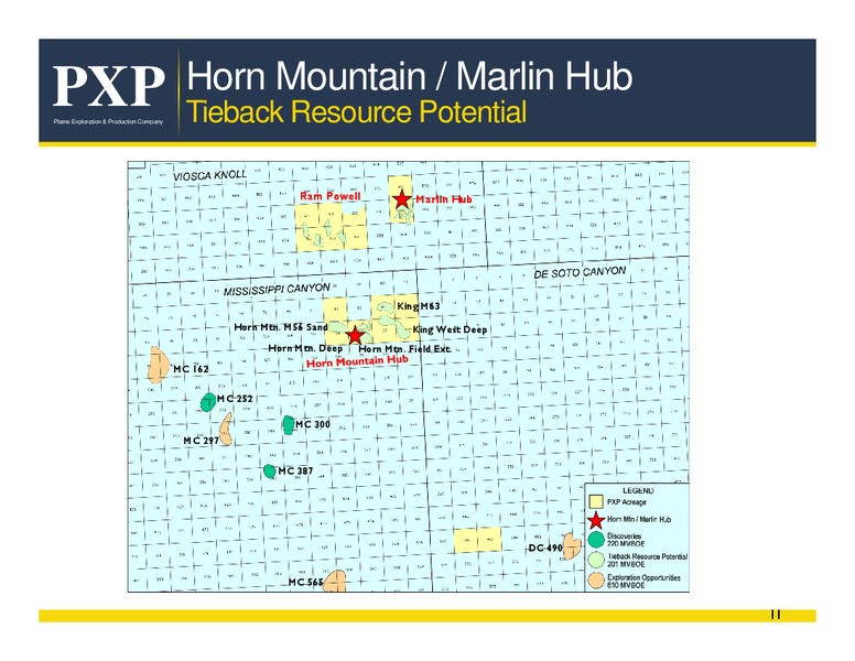 Gulf of Mexico Acquisition – Plains Exploration & Production Company – slide 10