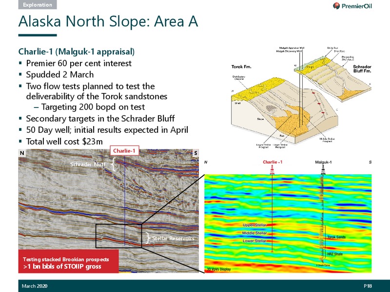 2019 Annual Results Presentation – Premier Oil – slide 19