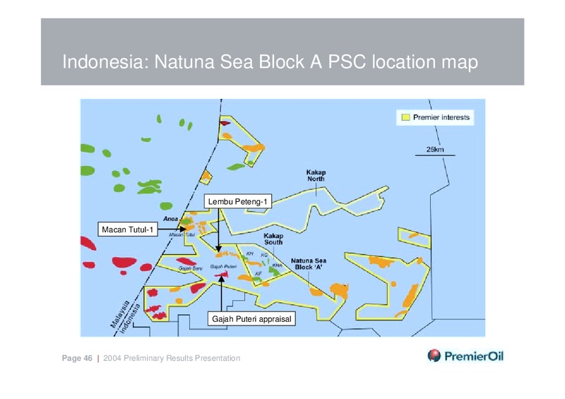 MARCH 2005 PRELIMINARY RESULTS – Premier Oil – slide 46