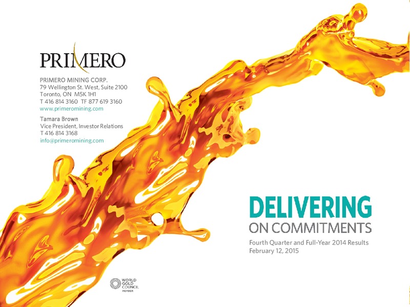 Q4 2014 RESULTS – PRIMERO MINING CORP. – slide 41