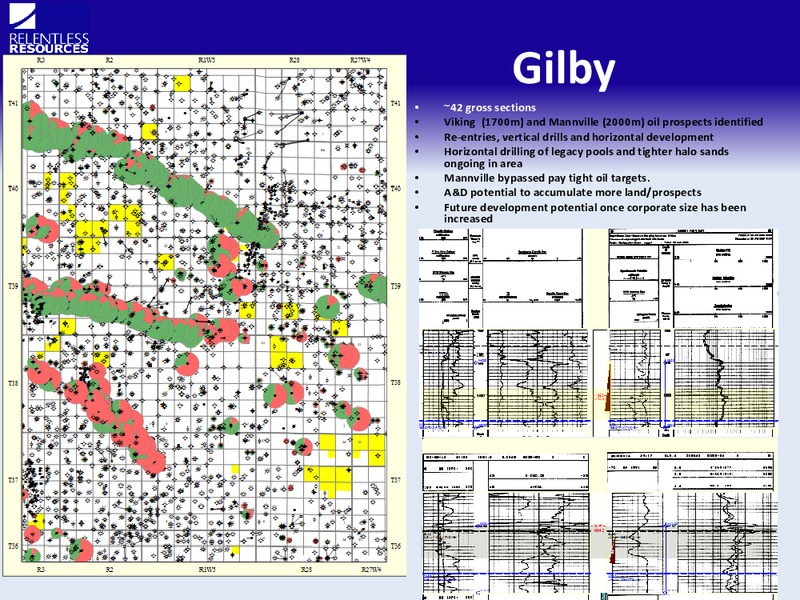 INVESTOR PRESENTATION – Relentless Resources – slide 10