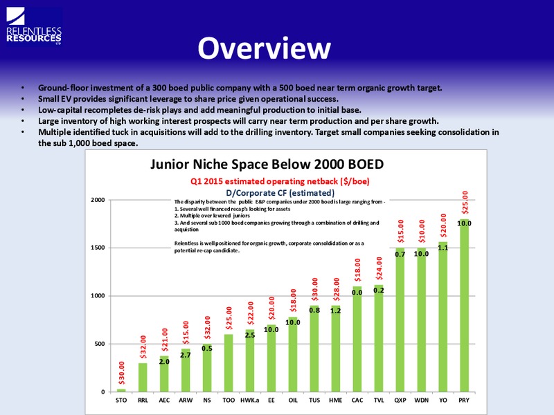 INVESTOR PRESENTATION – Relentless Resources – slide 12