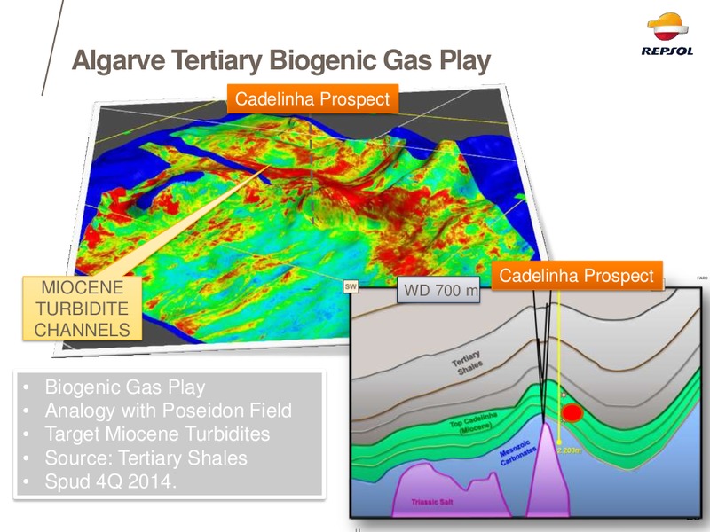 EXPLORATION DAY 2014 – Repsol S.A. – slide 25