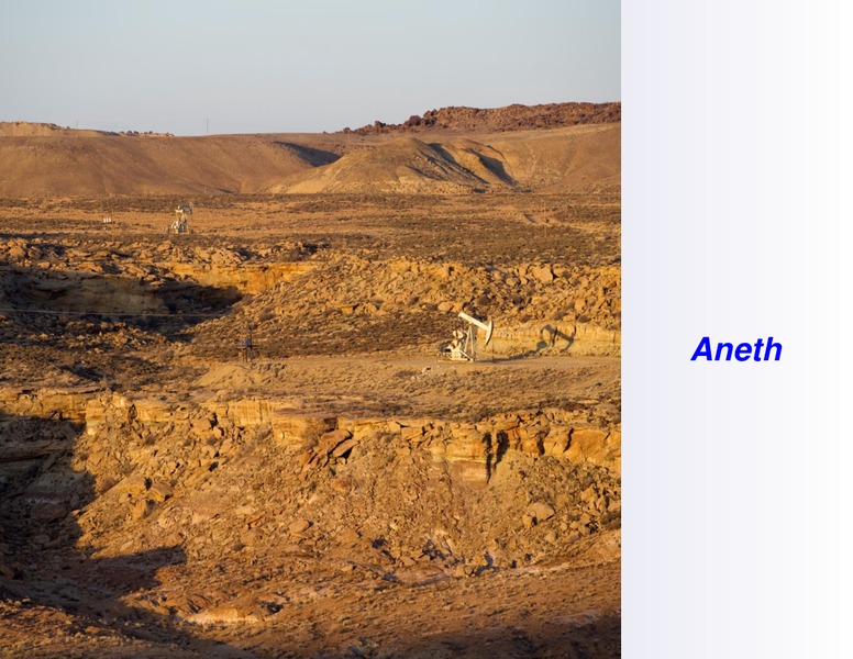 JULY 2011 INVESTOR PRESENTATION – Resolute Energy Corp – slide 5