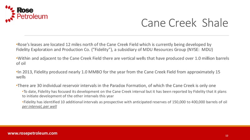 INVESTOR PRESENTATION – Rose Petroleum – slide 11