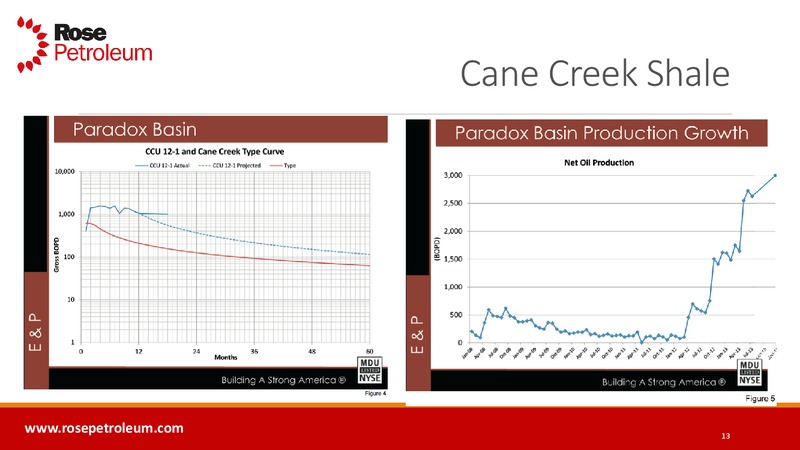 INVESTOR PRESENTATION – Rose Petroleum – slide 12