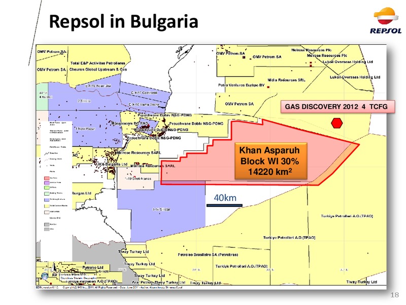 2013 Exploration Outlook – Repsol S.A. – slide 17