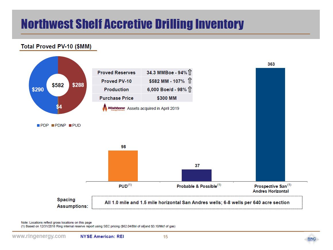 Johnson Rice and Company 2019 Energy Conference – Ring Energy Inc. – slide 13