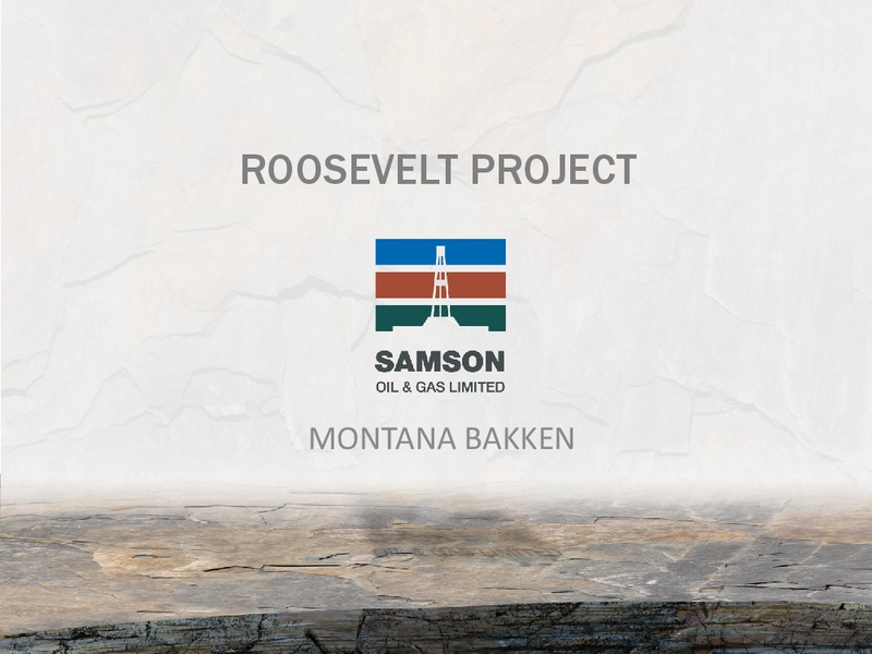 IPAA OGIS NEW YORK CONFERENCE – Samson Oil & Gas Limited – slide 12