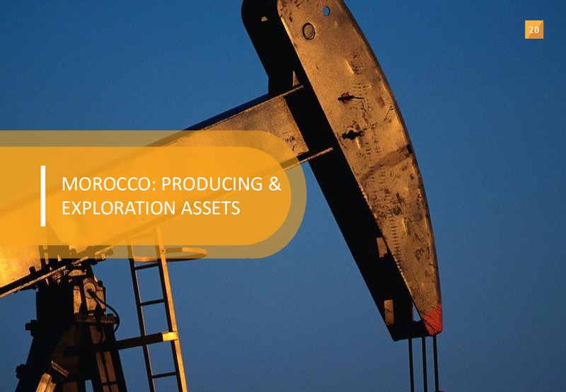 Annual General Meeting – SDX Energy, Inc – slide 20