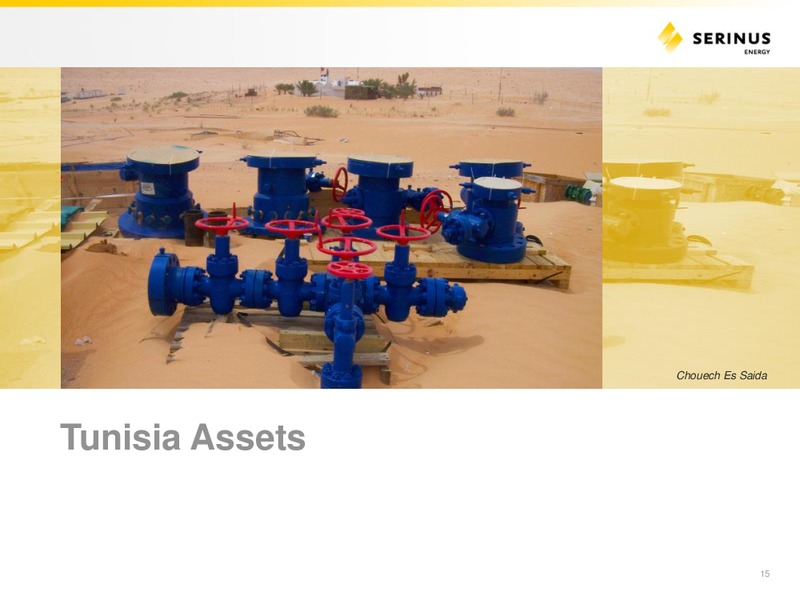 INVESTOR PRESENTATION – Serinus Energy Inc. – slide 14