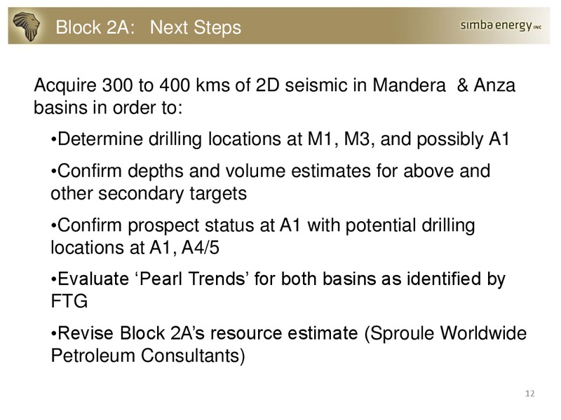 PRESENTATION – Simba Energy – slide 11