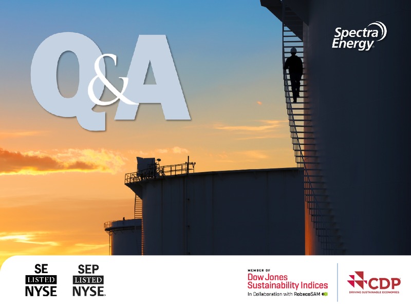 CIBC 18th Annual Whistler Institutional Investor Conference – Spectra Energy Corp. – slide 8