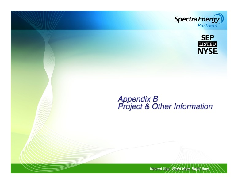 MORGAN STANLEY'S MLP AND DIVERSIFIED NATURAL GAS CORPORATE ACCESS DAY – Spectra Energy Partners, Lp – slide 19