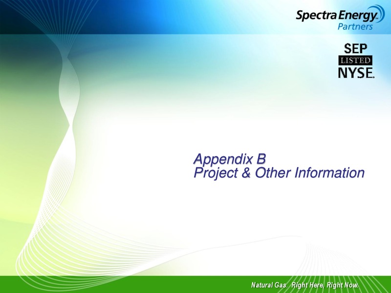 1ST QUARTER 2010 EARNINGS REVIEW – Spectra Energy Partners, Lp – slide 17
