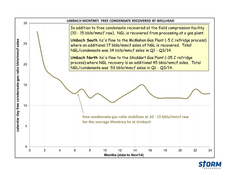 March 2015 Update – Storm Resources Ltd. – slide 33