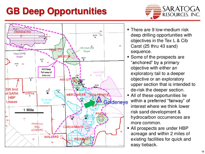 26TH ANNUAL ROTH CONFERENCE – Saratoga Resources Inc. – slide 18