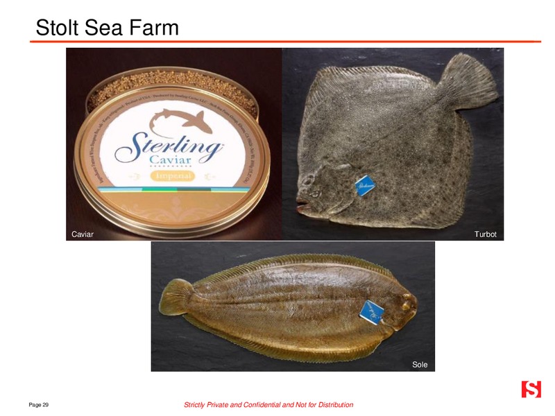 MAY 2015 INVESTOR PRESENTATION – Stolt-Nielsen Limited – slide 28