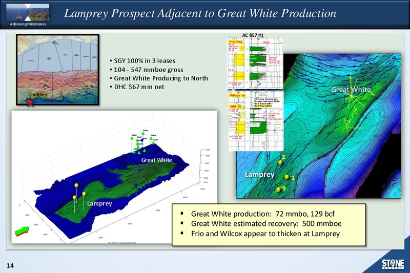 BAML Energy Conference – Stone Energy Corp. – slide 13