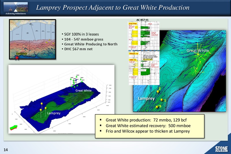 GLOBAL HUNTER 100 CONFERENCE – Stone Energy Corp. – slide 13