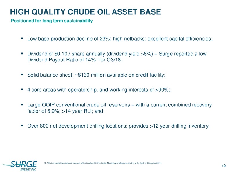 January 2019 Corporate Presentation – Surge Energy Inc – slide 19