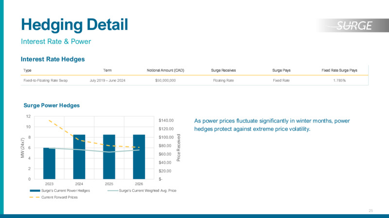 November 2023 Investor Presentation – Surge Energy Inc – slide 25