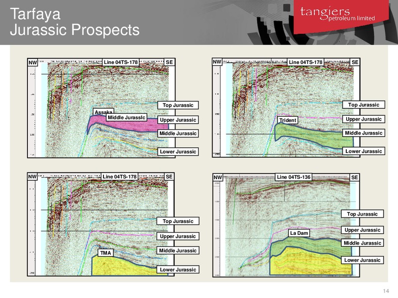 LONDON INVESTOR INVESTOR BRIEFING UPDATE – 88 Energy Limited – slide 13