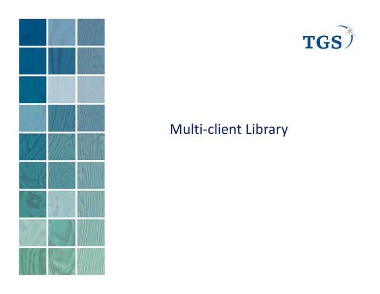 CAPITAL MARKETS DAY – TGS – slide 29