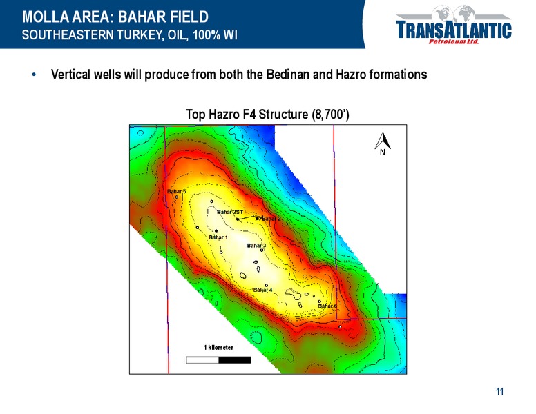 GHS 100 ENERGY CONFERENCE – Transatlantic Petroleum Ltd. – slide 10