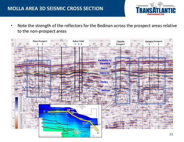 COMPANY UPDATE – Transatlantic Petroleum Ltd. – slide 20