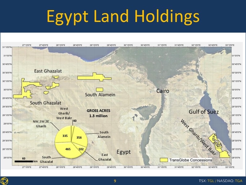 CONFERENCE CALL Q4 & YEAR END 2013 RESULTS – Transglobe Energy Corporation – slide 8