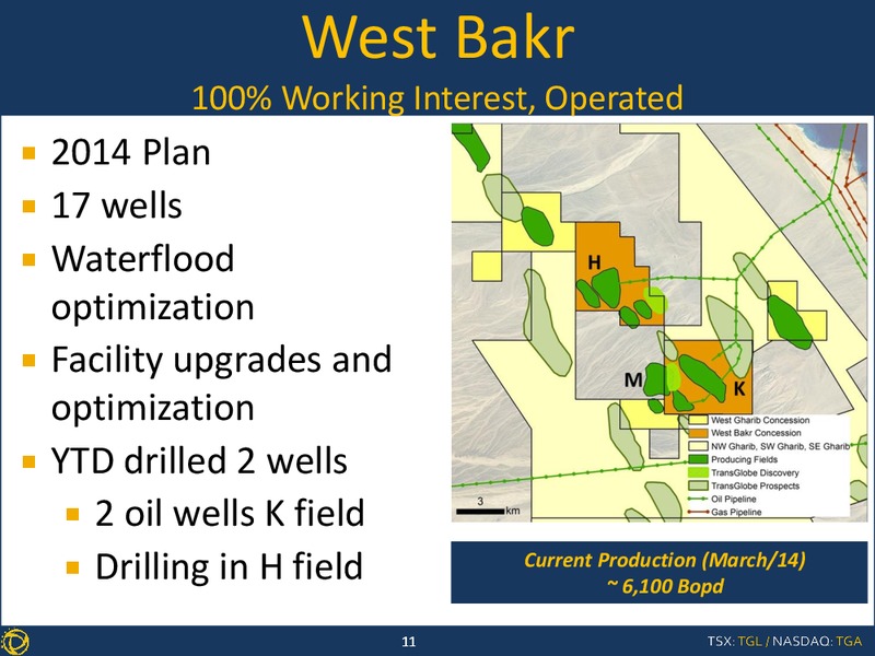 CONFERENCE CALL Q4 & YEAR END 2013 RESULTS – Transglobe Energy Corporation – slide 10