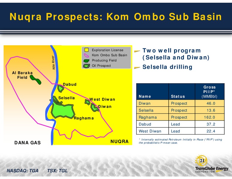 CONFERENCE CALL Q4 & YEAR END 2010 RESULTS – Transglobe Energy Corporation – slide 20