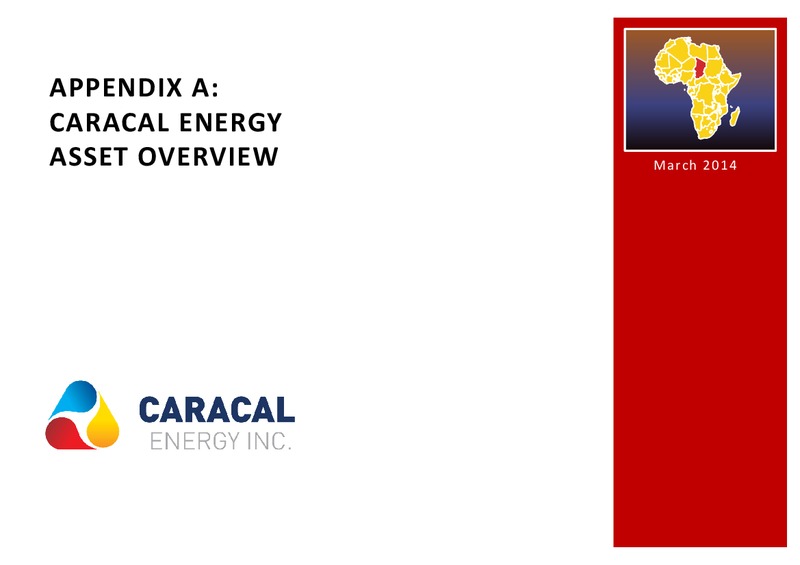 COMBINATION OF CARACAL ENERGY INC AND TRANS GLOBE ENERGY CORPORATION – Transglobe Energy Corporation – slide 12