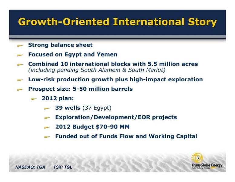 GLOBAL ENERGY CONFERENCE – Transglobe Energy Corporation – slide 3